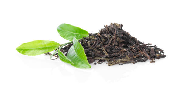 istock Green tea leaf with dry leaf isolated on white 1061941570