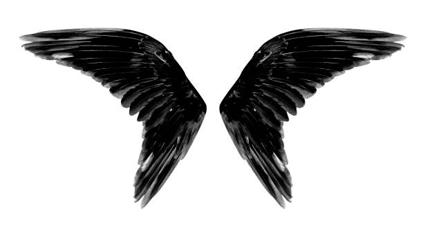 istock Angel wings isolated on white background 1061941820