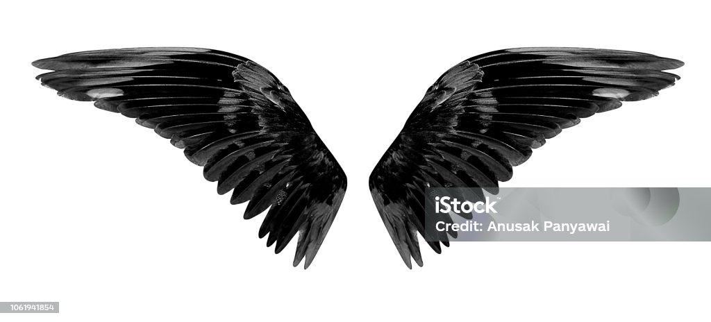 Angel wings isolated on white background Angel wings isolated on white background with clipping part. Animal Wing Stock Photo