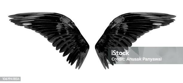 Angel Wings Isolated On White Background Stock Photo - Download Image Now - Animal Wing, Black Color, Angel