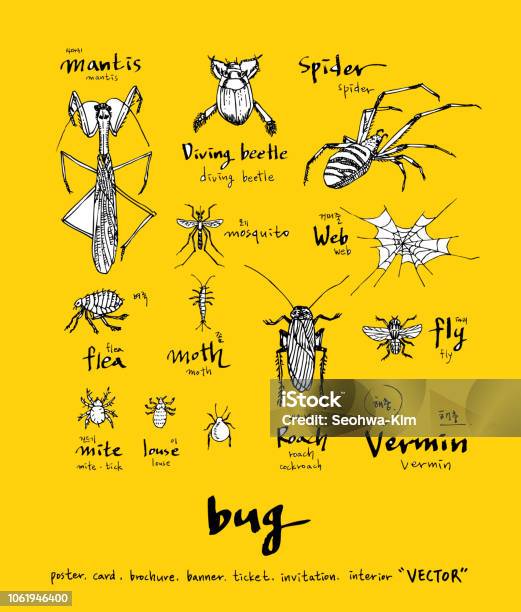 Bug Sketch Stock Illustration - Download Image Now - Anthill, Flea - Insect, Hornet