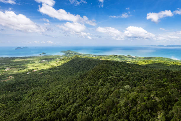 istock forest and sea view from mountain top 1061946782