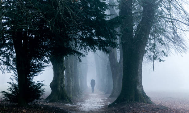 istock fog in the park 1061951878