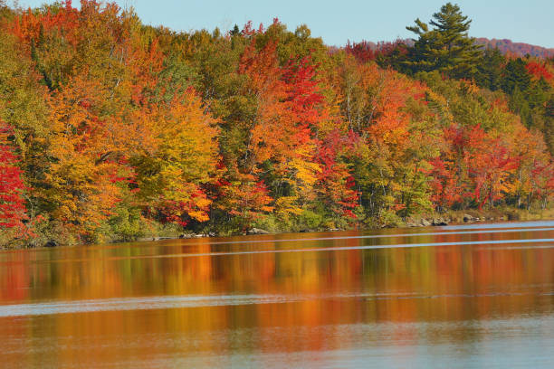 istock Fall colors along the Androscoggin River in Milan, New Hampshire. 1061960574