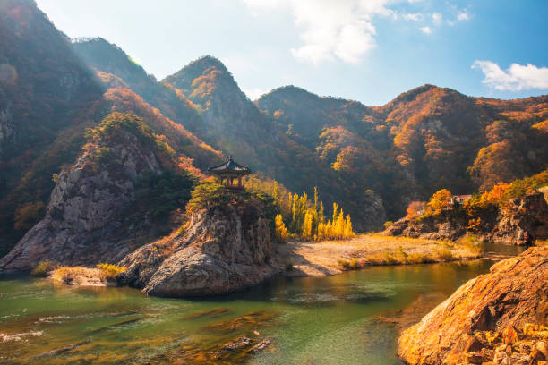 raccolta autunnale vd726 - corea del sud foto e immagini stock