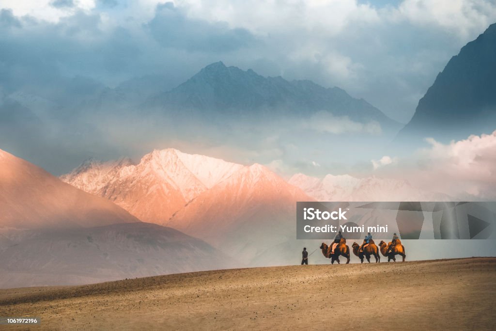 Camel safari Ride caravan in Hunder desert , Nubra valley , Leh Ladakh India India Stock Photo