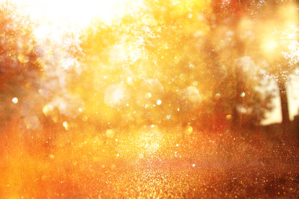foto desfocada e abstrata de explosão de luz entre as árvores e luzes de brilho dourado bokeh. - golden sunset - fotografias e filmes do acervo