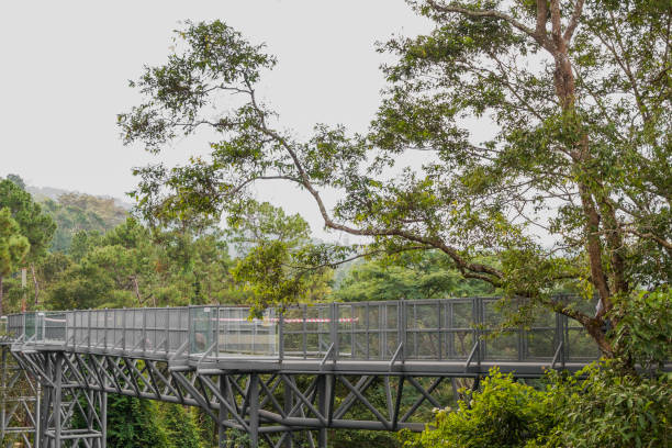 istock Iron Bridge across the mountain to nature. 1061984024