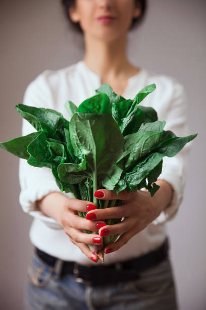 istock Young woman hands with spinach 1061989152