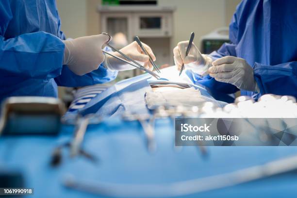 Asian Doctor And An Assistant In The Operating Room For Surgical Venous Vascular Surgery Clinic In Hospital Stock Photo - Download Image Now
