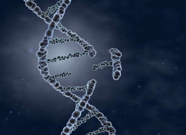 Genetic engineering and gene manipulation concept stock photo