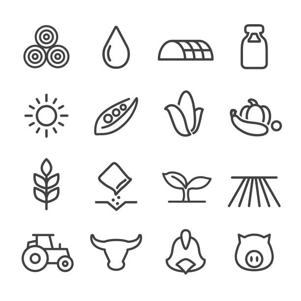 Farming Icons - Line Series Farming, Agriculture, sow stock illustrations