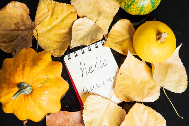 istock Diary Hello Autumn, Pumpkin and autumn leaves on a black table. 1062008734