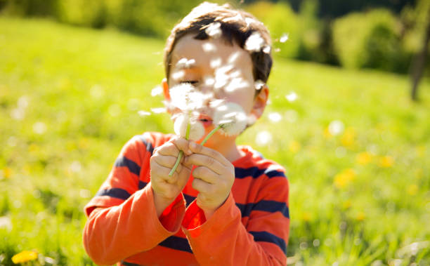 istock child blowing dandelion in sunny summer day 1062013962