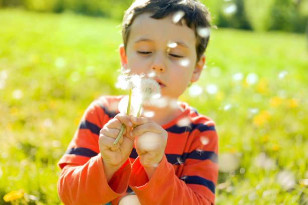 istock child blowing dandelion in sunny summer day 1062014174