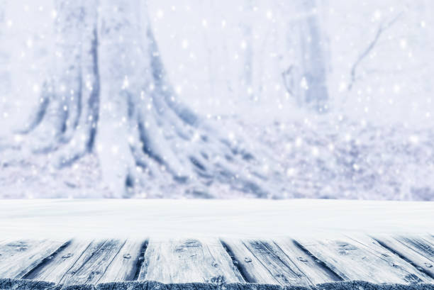 istock Background winter forest trees with snow und empty wooden board. Winter Christmas concept. 1062014196