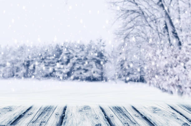 istock Background winter forest trees with snow und empty wooden board. Winter Christmas concept. 1062017496