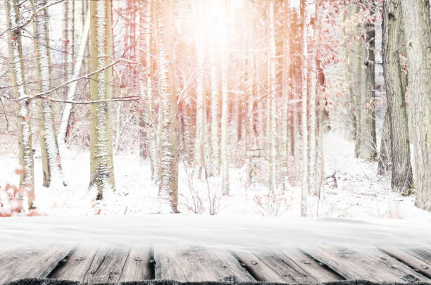 Background winter forest trees with snow und empty wooden board. Winter Christmas concept.