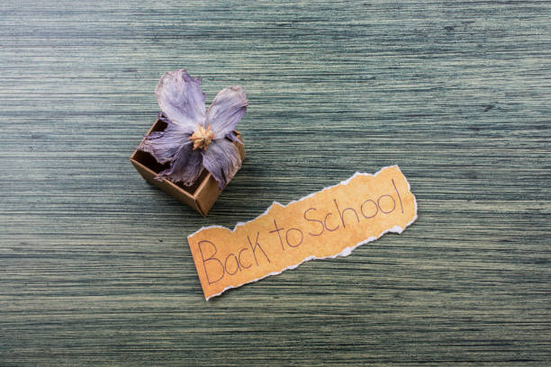 istock Back to school wording on  torn paper 1062018412