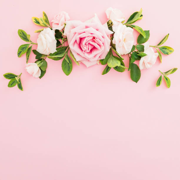 istock Frame composition with pink roses and leaves on pastel pink background. Flat lay, top view. 1062020858