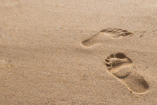 istock footprints in the sand on the beach 1062021246