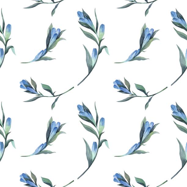Floral pattern in watercolor style. Floral pattern in watercolor style. Beautiful seamless pattern with gentian and wild herbs. Can be used as a background template for Wallpaper, printing on fabrics. blue gentian stock illustrations