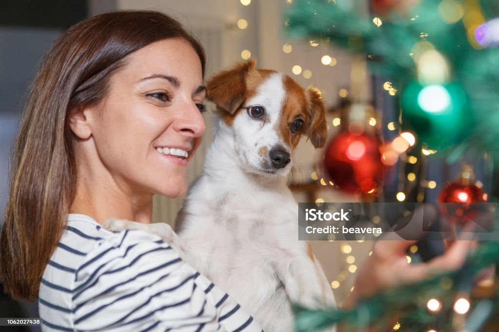 woman enyoing christmas with puppy at home young woman with puppy decorating christmas tree Christmas Stock Photo