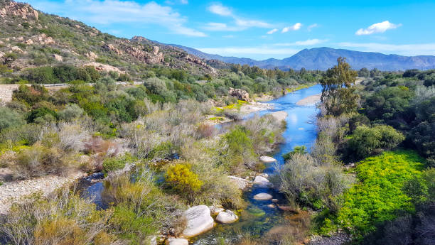 istock Picturesque Sa Picocca River 1062031608