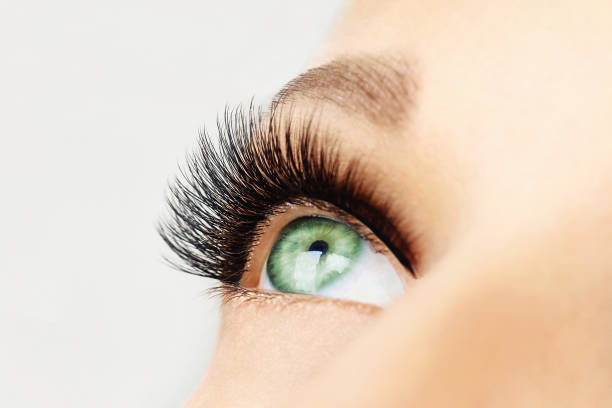 istock Female eye with extreme long false eyelashes 1062032748