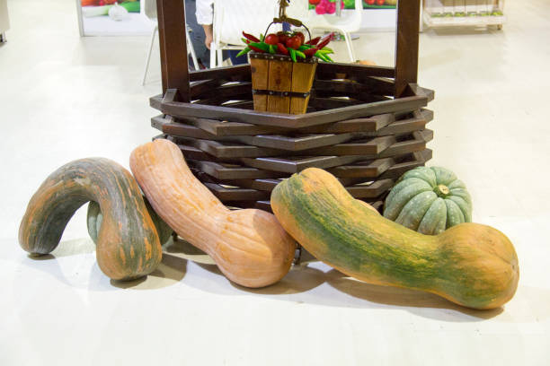 pumpkin, Squash - Vegetable, Gourd Family, Vegetable Garden, Gourd