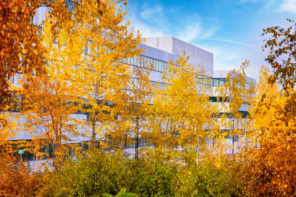 istock Autumn in the city 1062039926