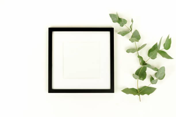 istock photo frame mock up and eucalyptus branches on white background. Flat lay, top view, , copy space square. 1062048896