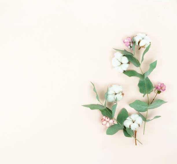 istock Flowers composition background. Pattern made of pink and cotton flowers and eucalyptus branches on pastel pale beige  background. Flat lay, top view.copy space 1062050686