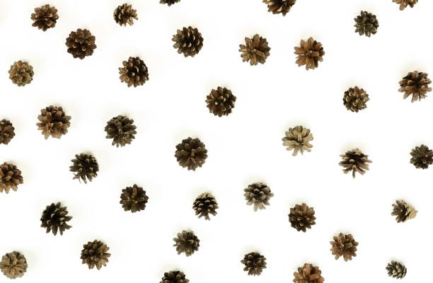 istock Christmas composition background fir cones pattern on white background. Creative arrangement.  top view. 1062056198