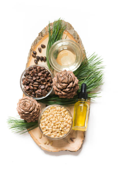 istock Cedar oil, branches and cedar cone on white. Copy space. Beauty and healthy concept. 1062062660