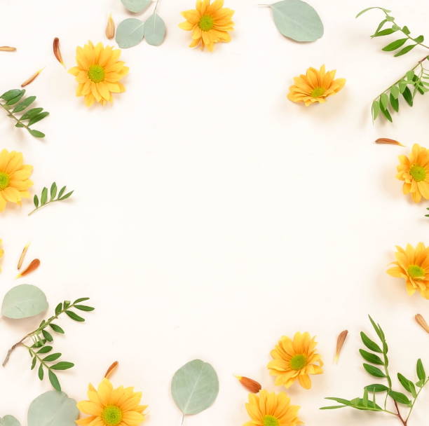 istock Flowers composition background. Yellow flowers frame on light background. Flat lay. top view. copy space 1062062672