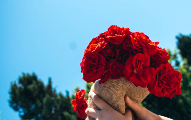 istock Beautiful roses wrapped with canvas in hand 1062063742