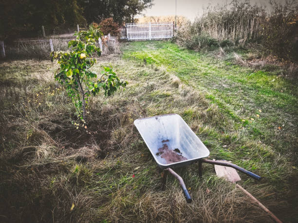 istock the last work in the garden in autumn 1062063866