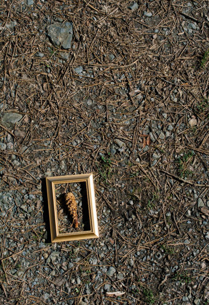 istock Blank wooden picture  frame on  background 1062064058