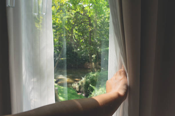 Asian female hand opening curtains with green forest view stock photo