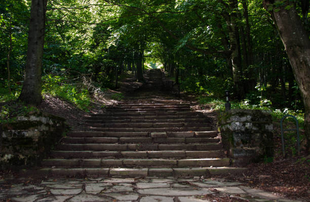 istock stone stairs among the green forest 1062090104