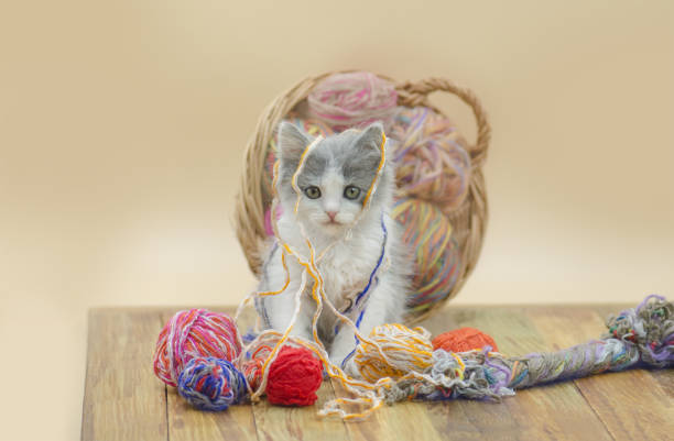 istock Cute cat with colorful wool yarn balls 1062093242