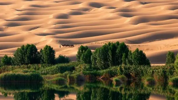 Umm al-Ma Lake - Idyllic oasis in the Awbari Sand Sea, Sahara Desert, Libya country