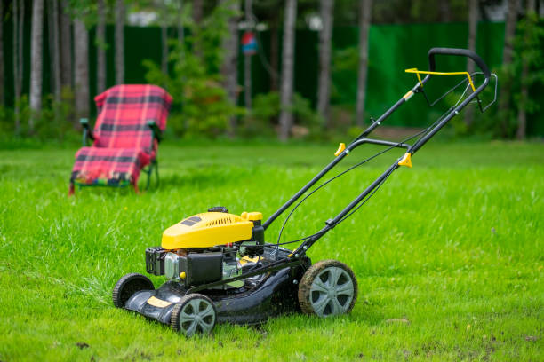 istock Mower standing on green grass on yard. 1062100576