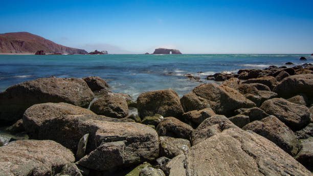 istock Goat Rock beach at Sonoma State park 1062105510