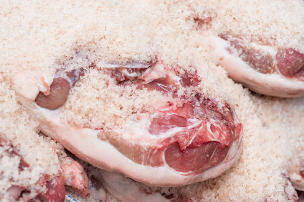 Processo de salga de presunto ibérico. Conceito de indústria de carne. Processo de salga de presunto ibérico. Conceito de indústria de carne. fotos de stock de carne salgada, fotos e imagens livres de direitos