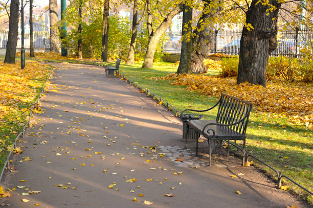 istock autumn Park with fallen leaves and a bench 1062118222