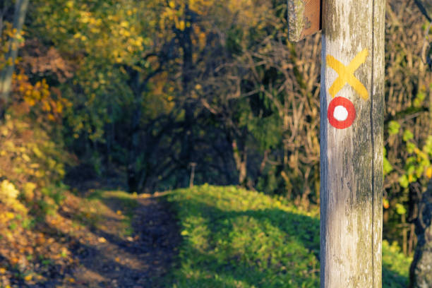 Red and white circular mark on wooden post and trail visible in background