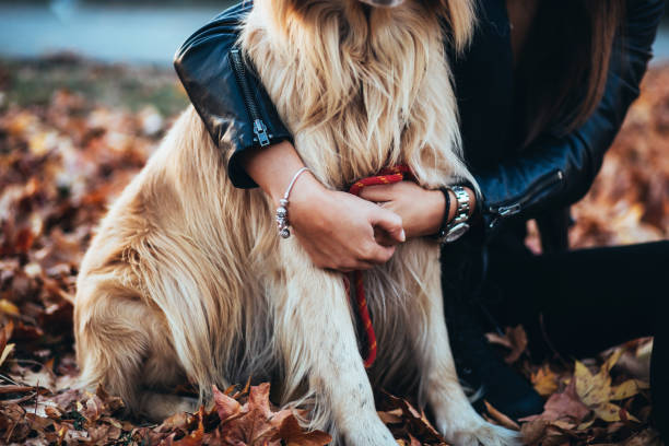 istock Young woman with dog 1062135000