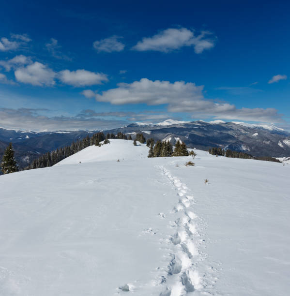 istock Winter snowy Carpathian mountains, Ukraine 1062135516